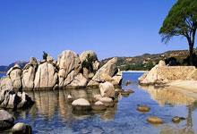 雷火电竞app-马来西亚男篮惊险获胜，豪取胜利